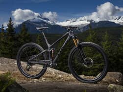 2019 trek fuel ex 9.8 blue book online