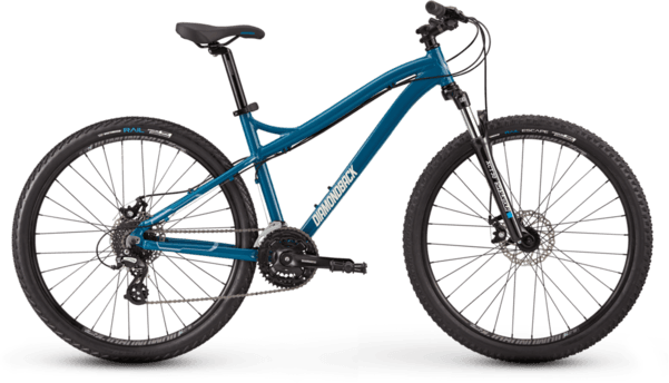 Bicycle Image