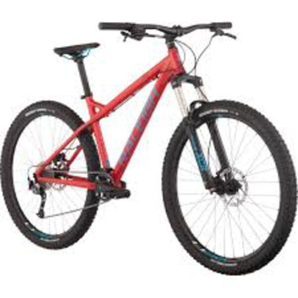 Raleigh mountain bike price store