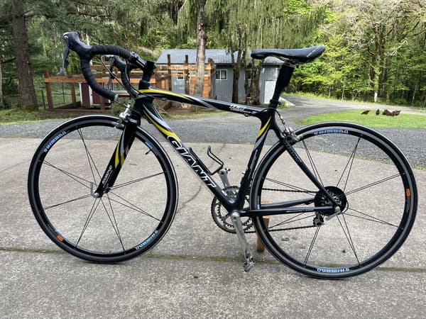 2004 giant tcr composite 2 clearance