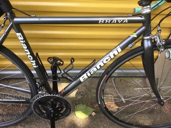 2007 Bianchi Ocelot Bicycle Details BicycleBlueBook