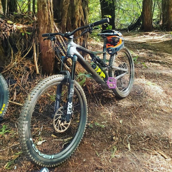 Men's stumpjumper 2025 st expert 29