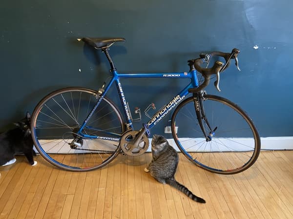 Trek 2200 best sale blue book