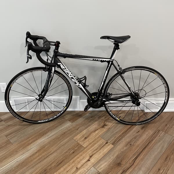 Ridley asteria clearance