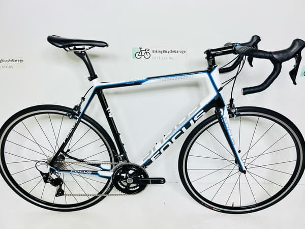 Focus cayo for sale store