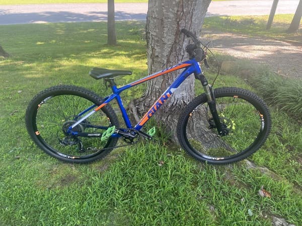 2018 specialized pitch blue book hot sale