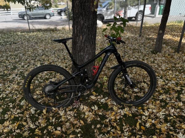 2015 diamondback 2025 recoil