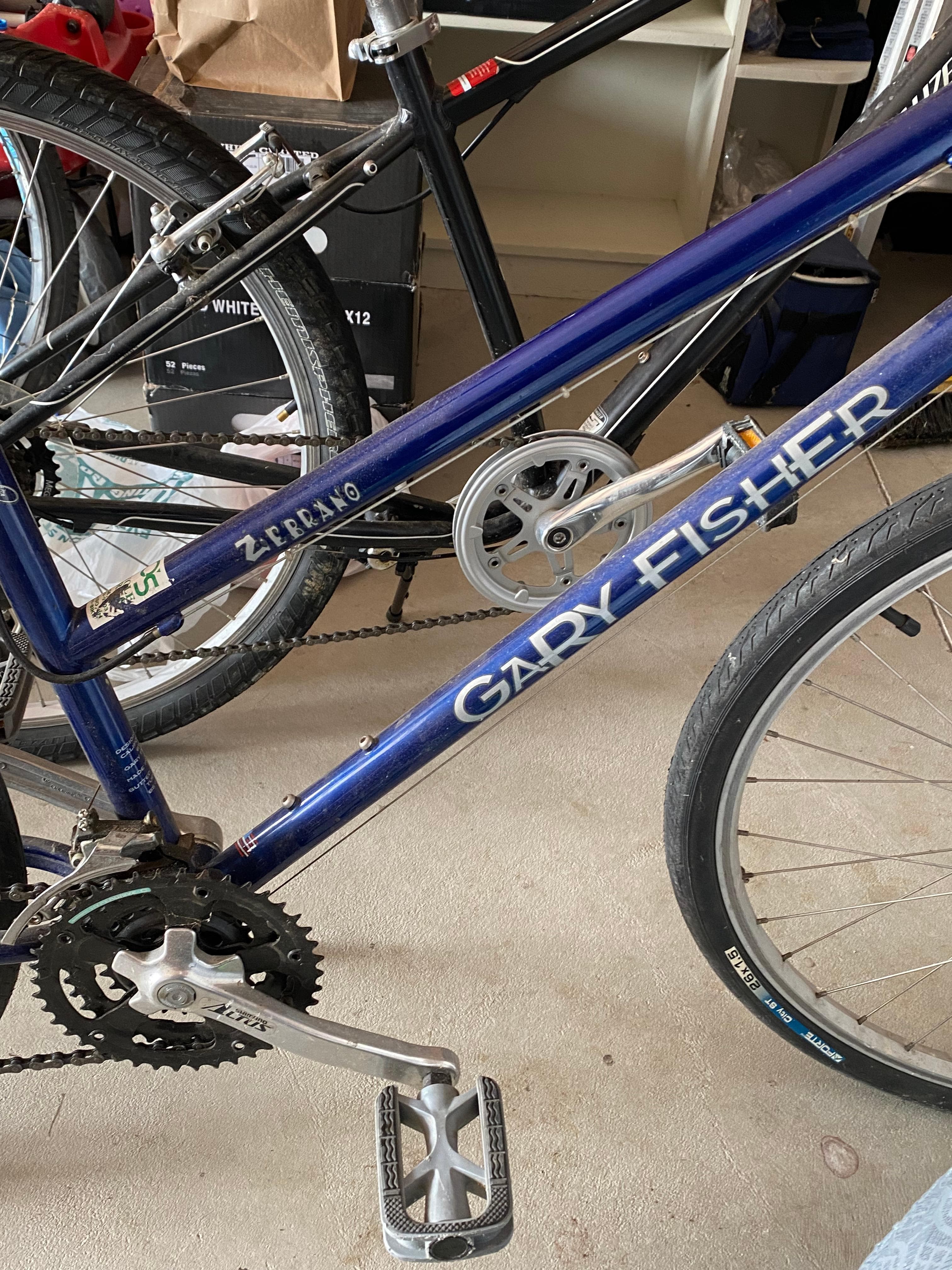 Gary fisher sale zebrano bicycle