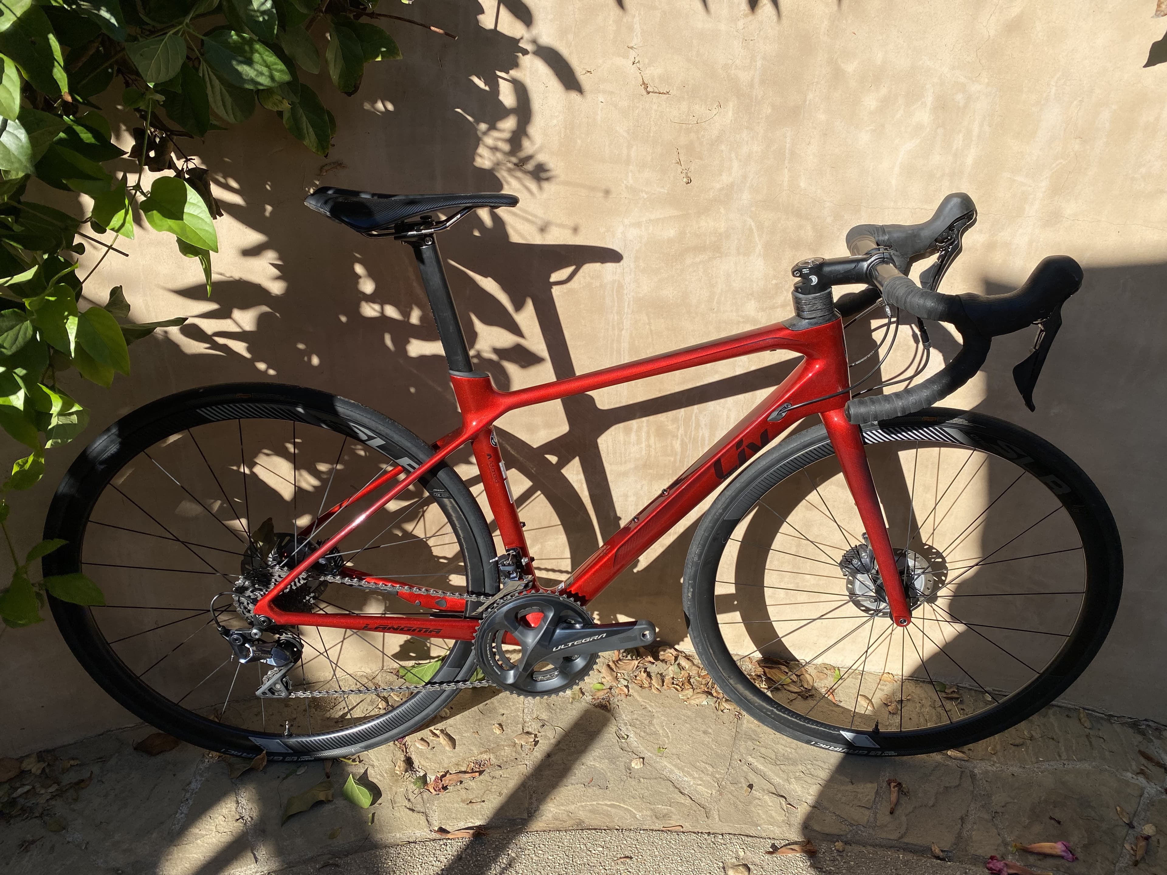 Liv langma advanced 2018 hot sale