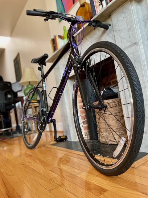 2017 Liv Alight 2 BicycleBlueBook