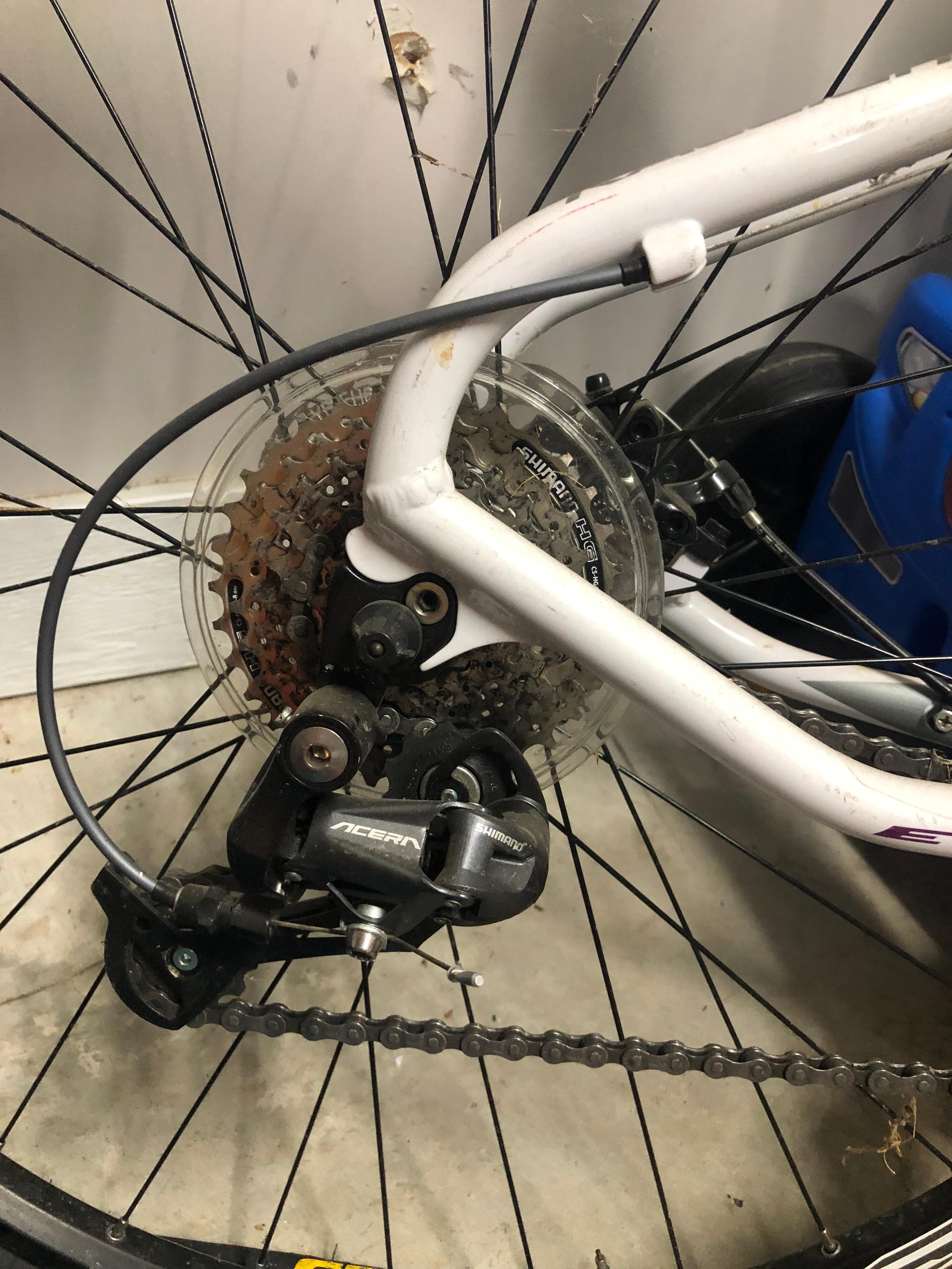 Raleigh eva deals 29