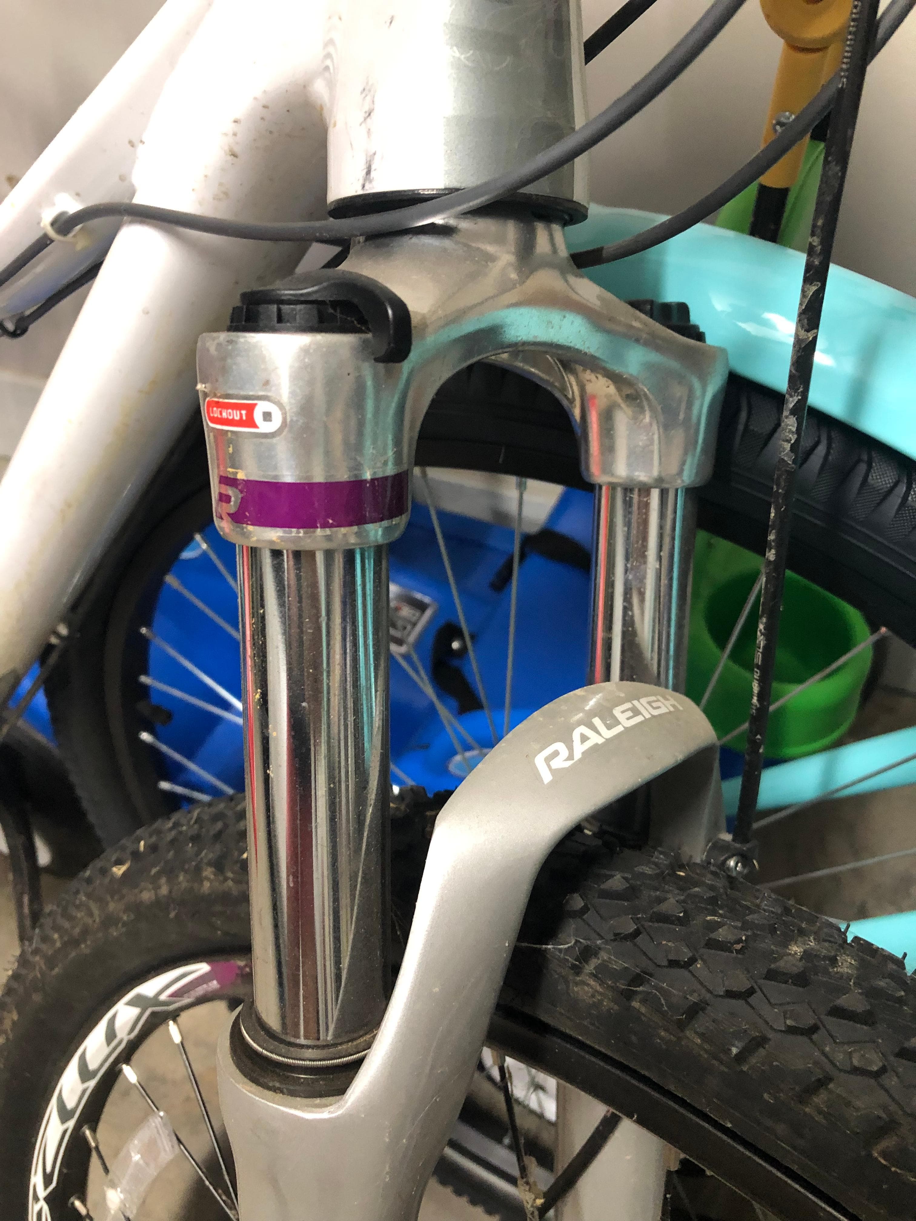 Raleigh 2025 eva 29