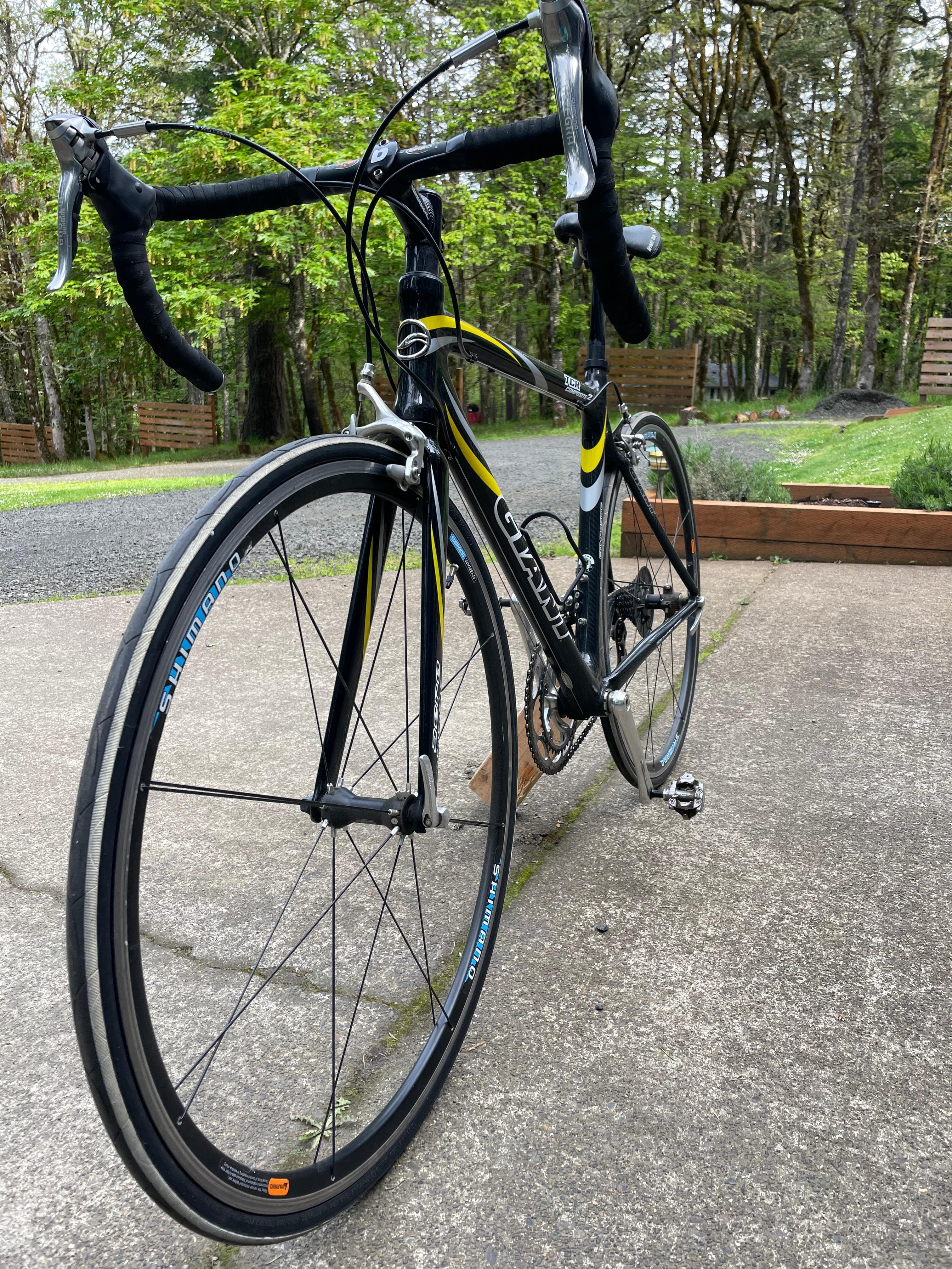 Giant tcr clearance composite 2004