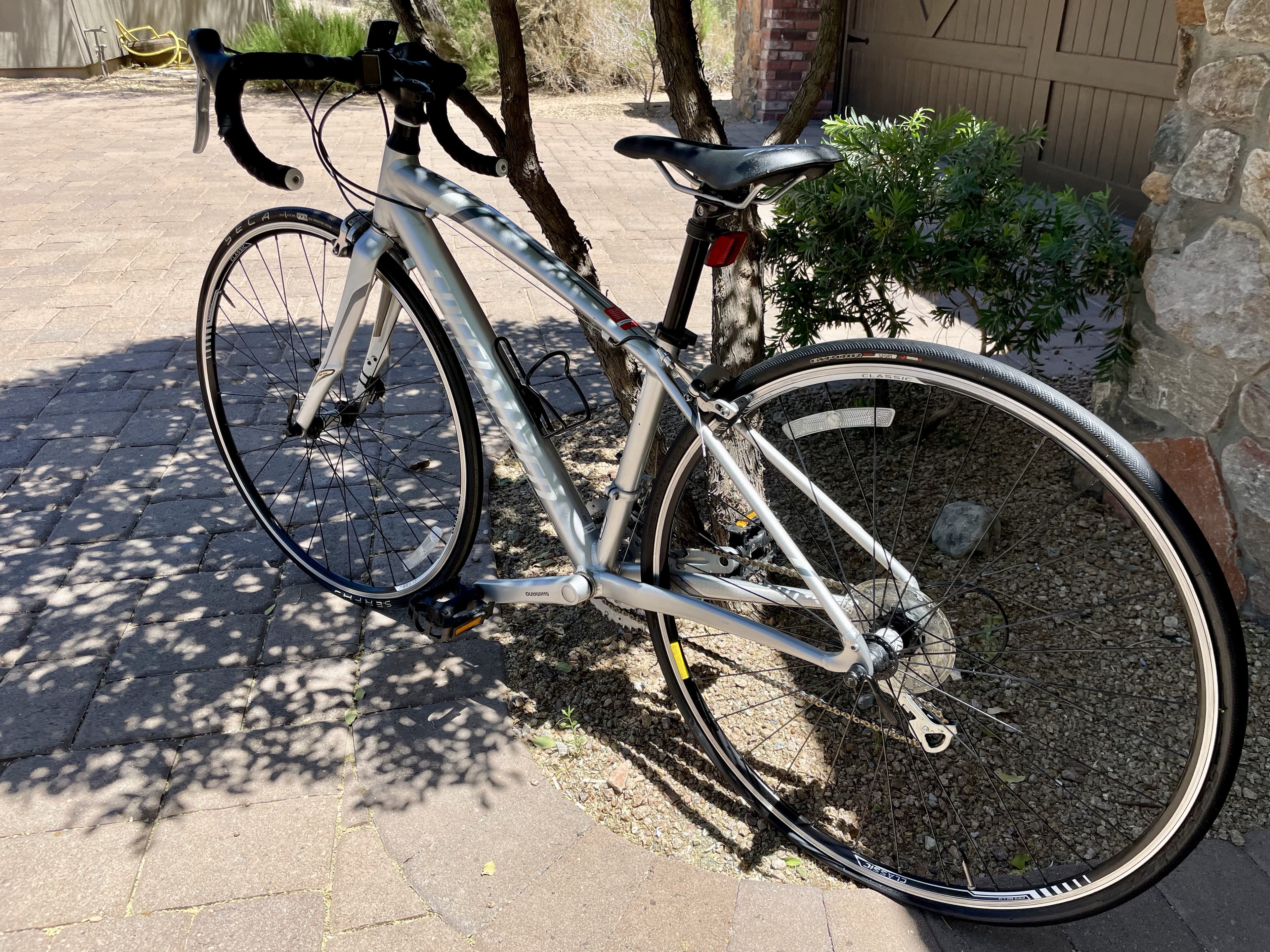 Specialized dolce sport blue on sale book