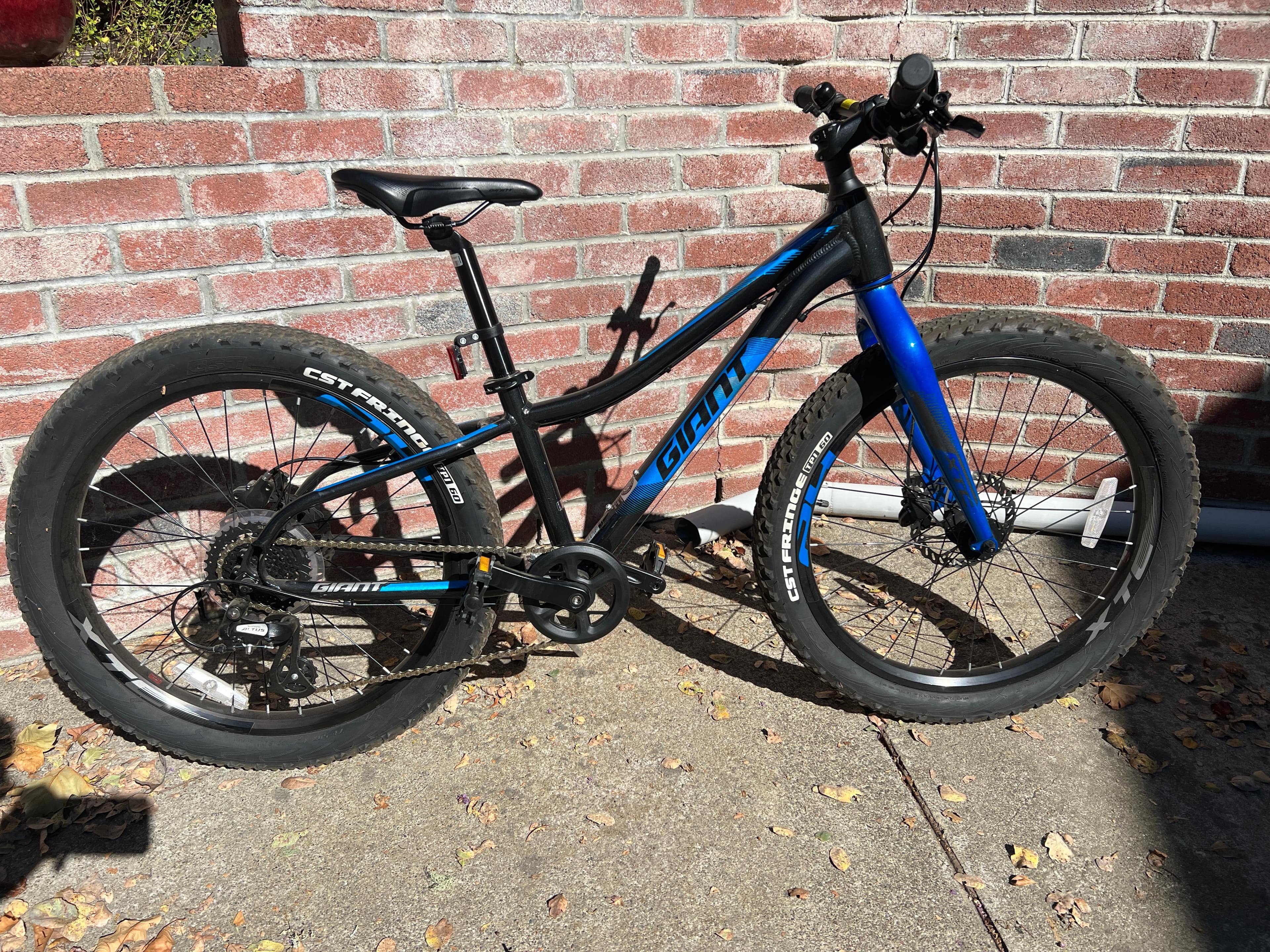 Giant xtc hot sale jr mountain bike