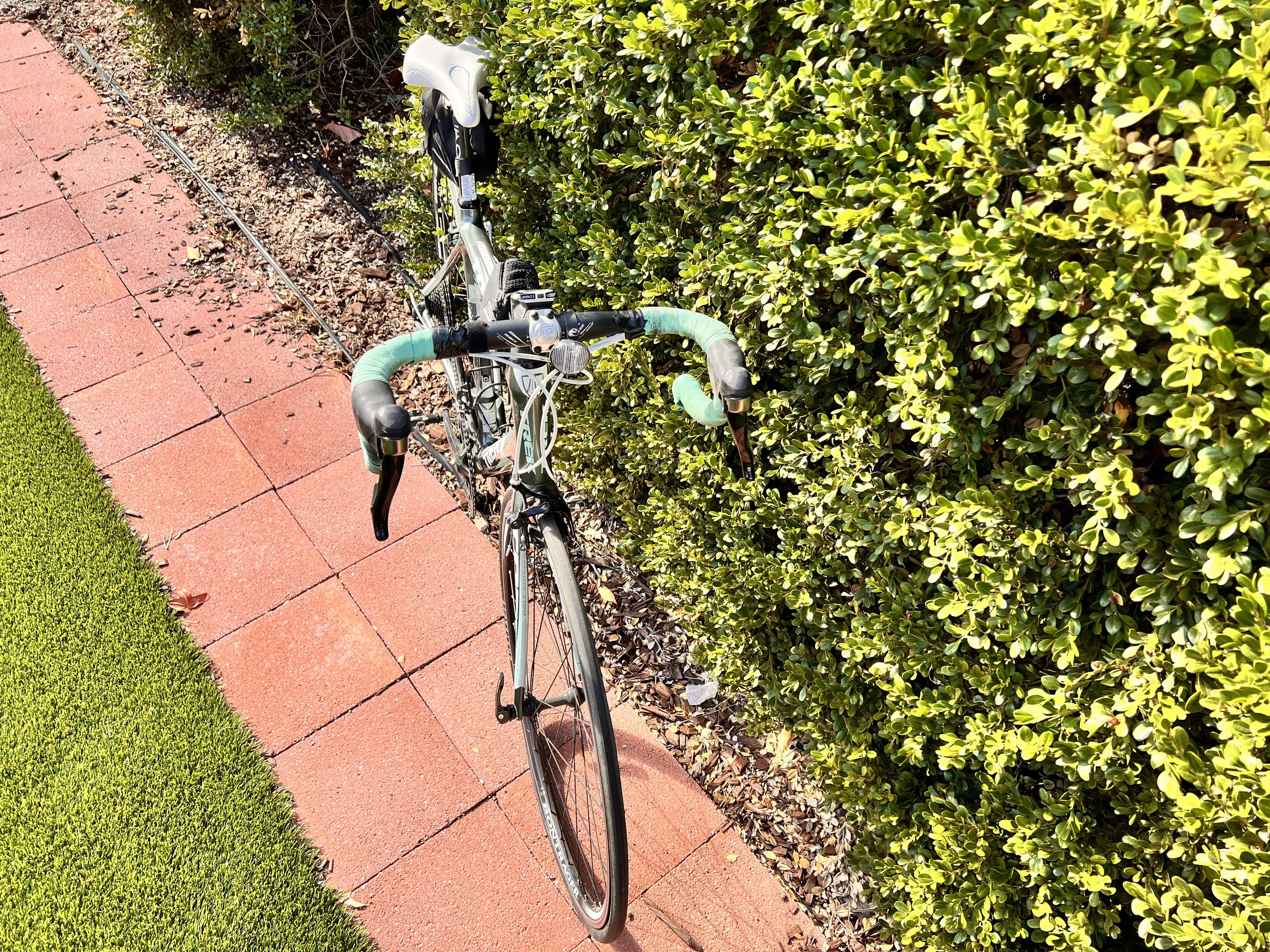2011 Trek Madone 3.1 WSD BicycleBlueBook