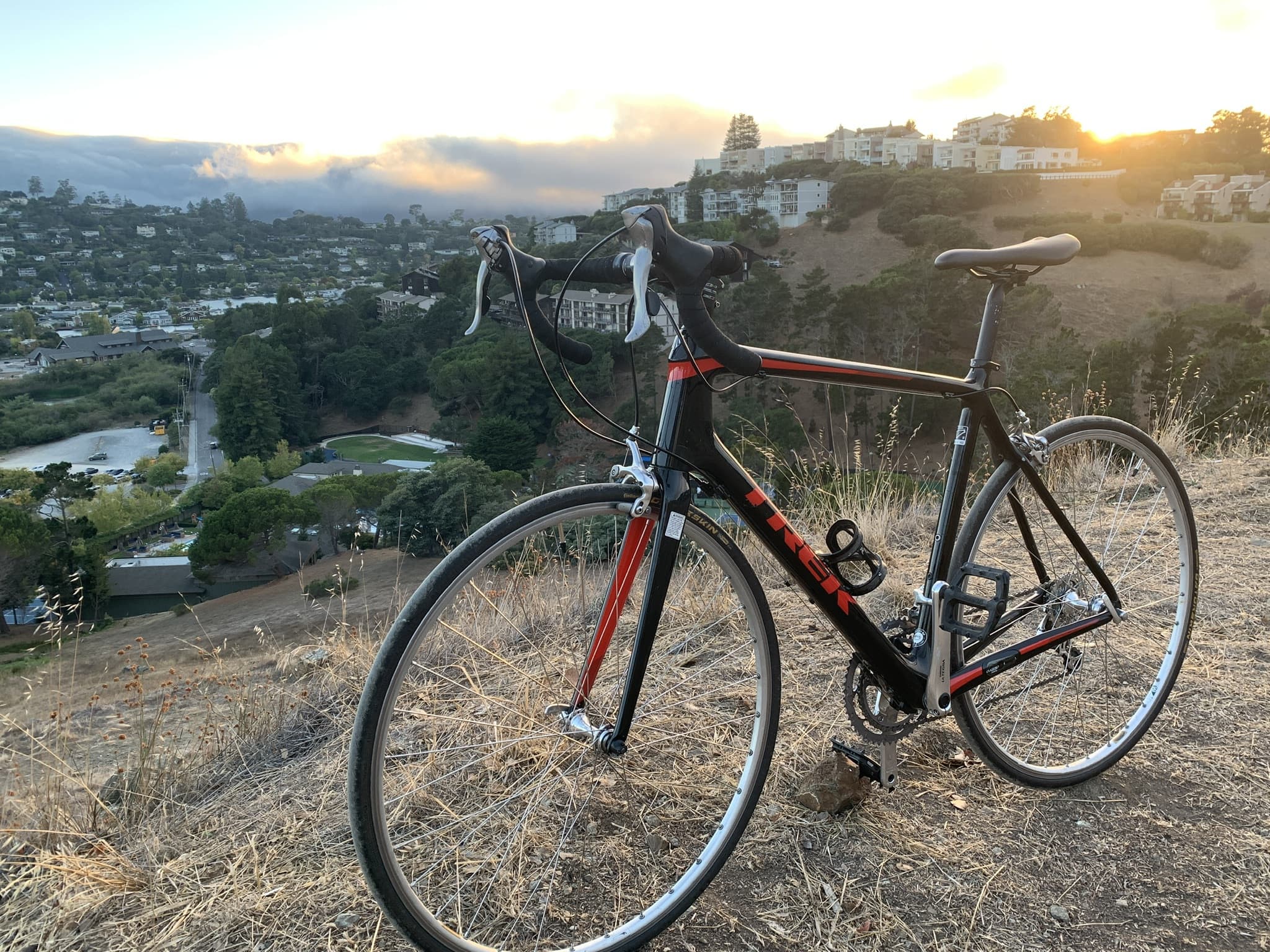 2017 trek emonda clearance s5