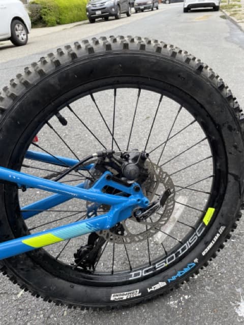 Cannondale cujo 20 2025 kids bike 2019