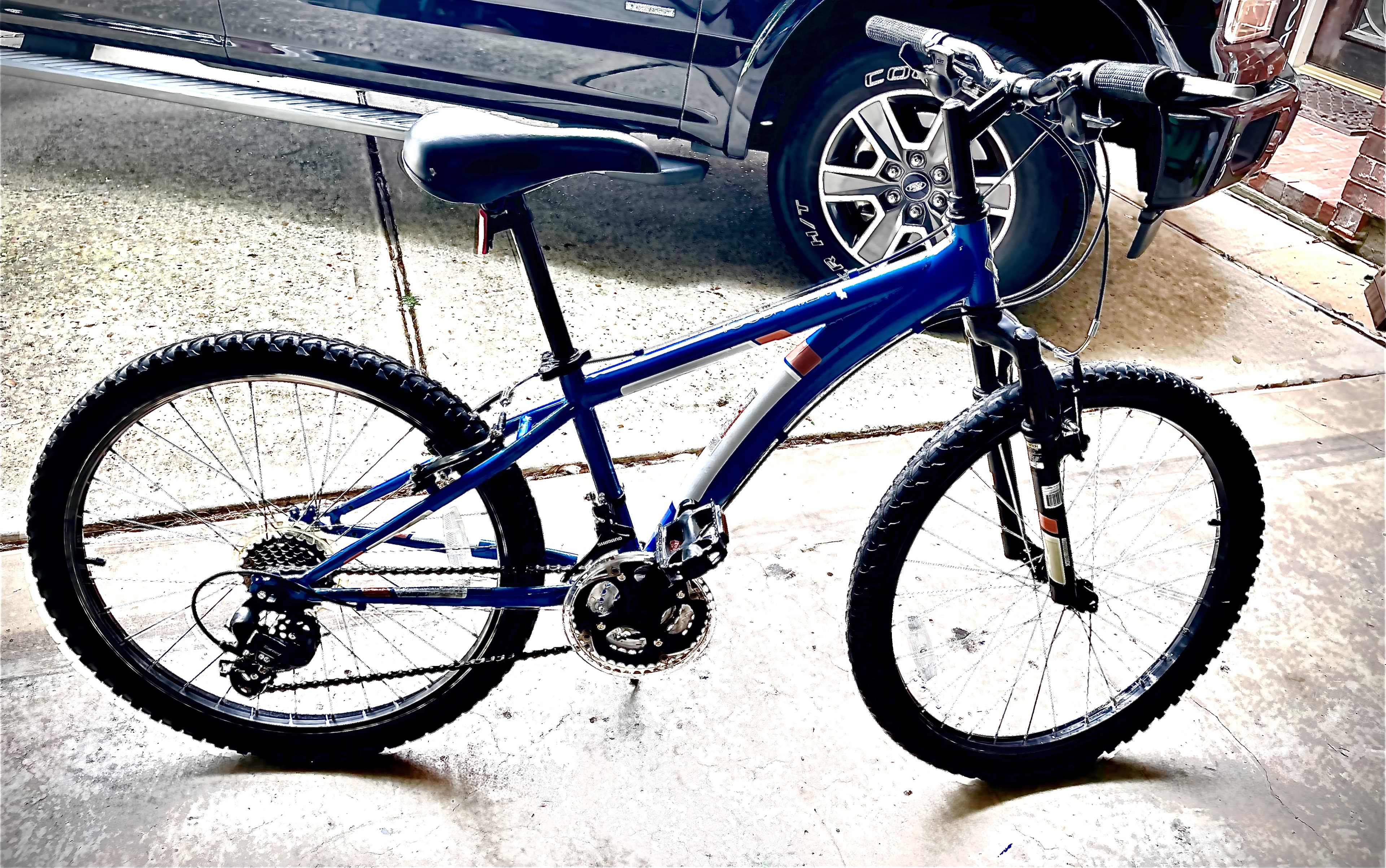 2018 diamondback cobra 24 store