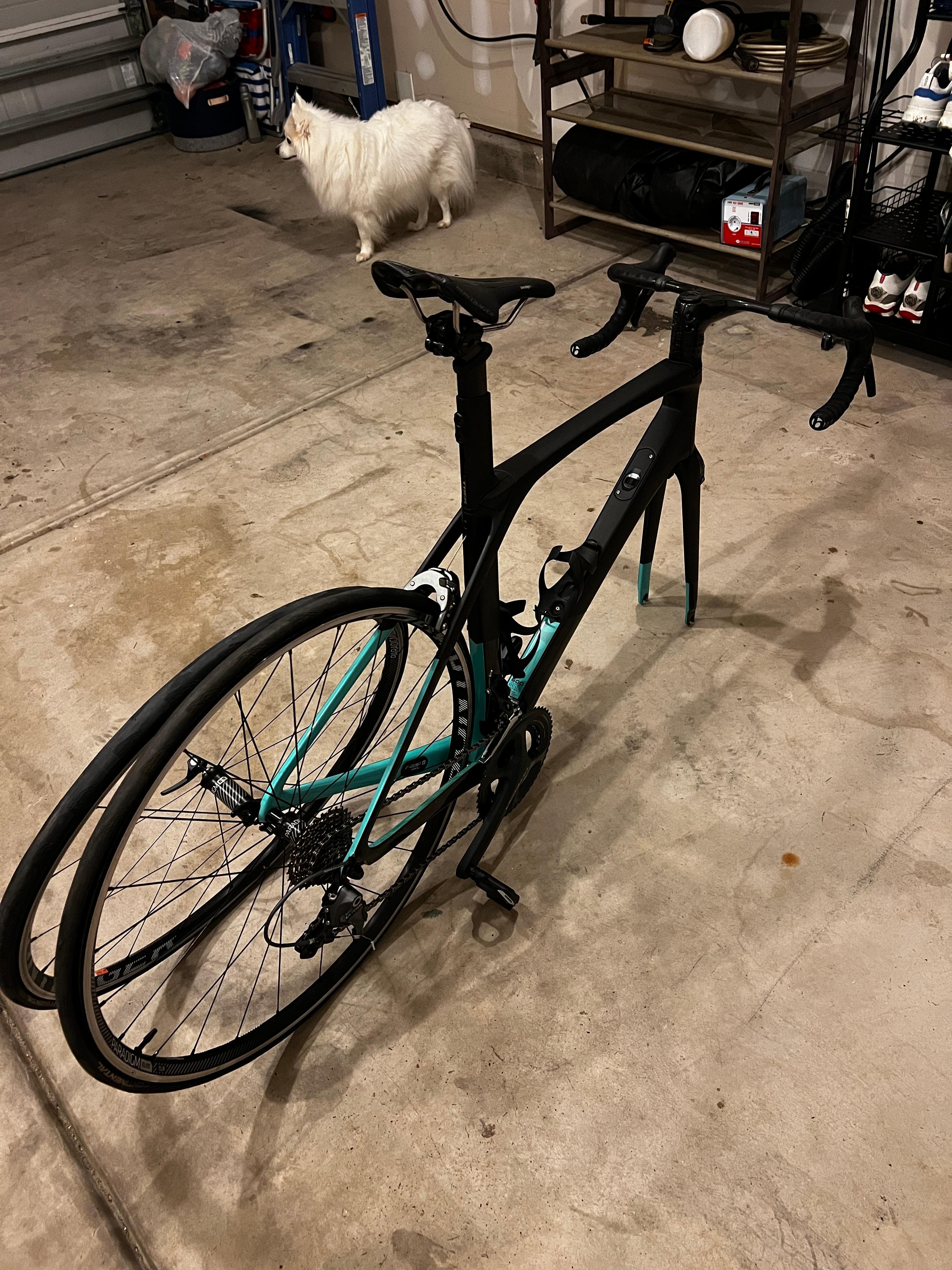 Trek madone used for sale discount