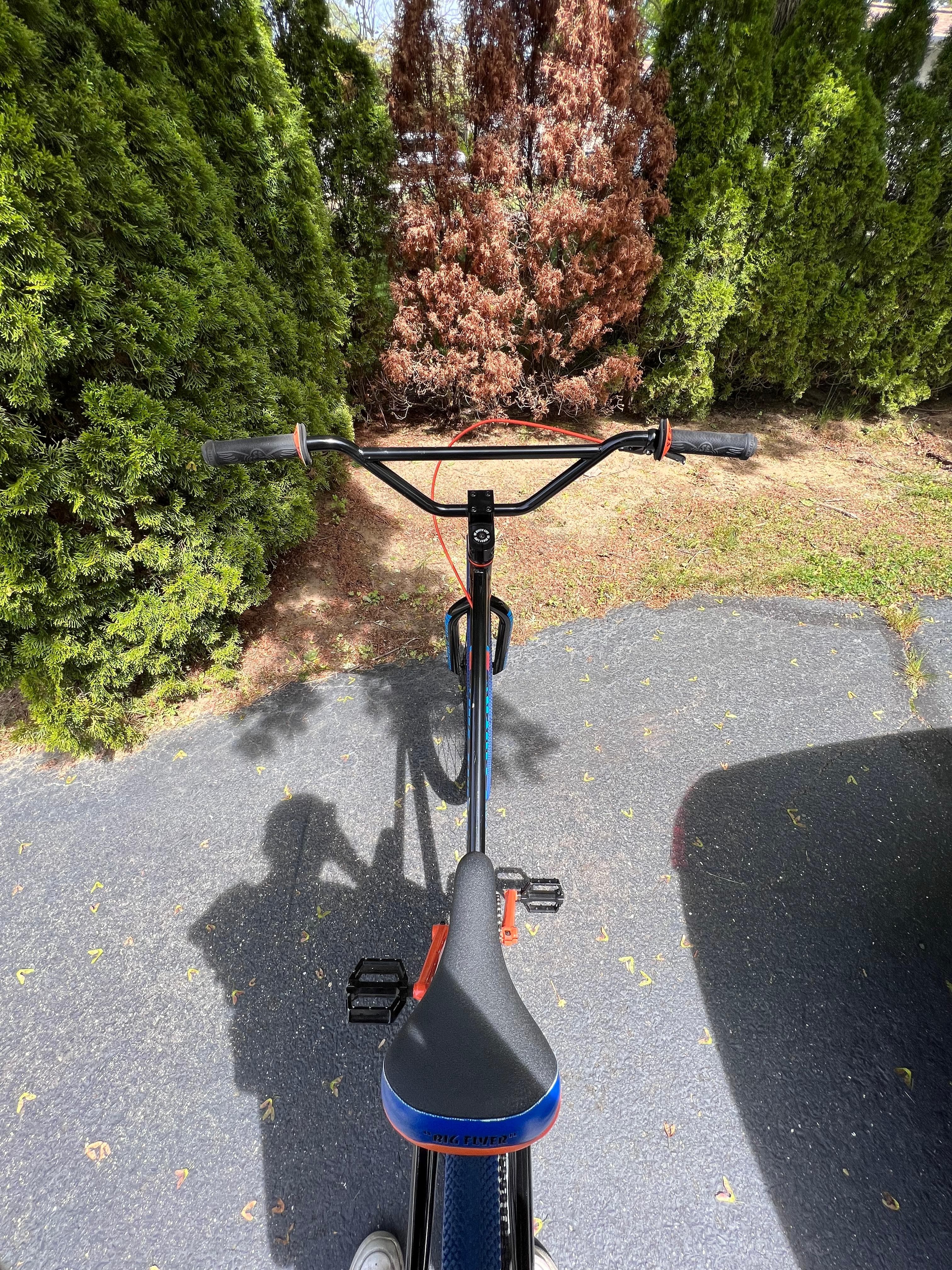 2017 SE Racing Big Flyer 29 inch BicycleBlueBook