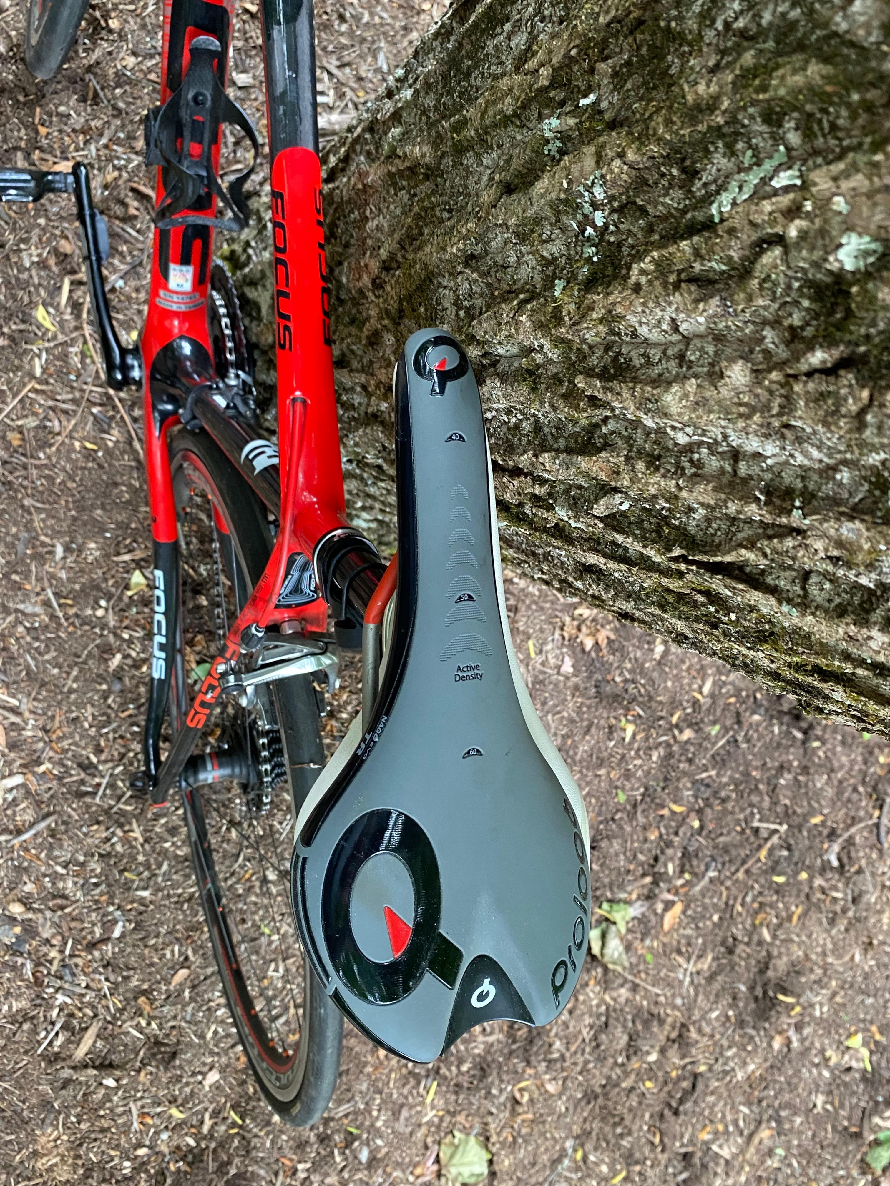 Focus evo cheap road bike