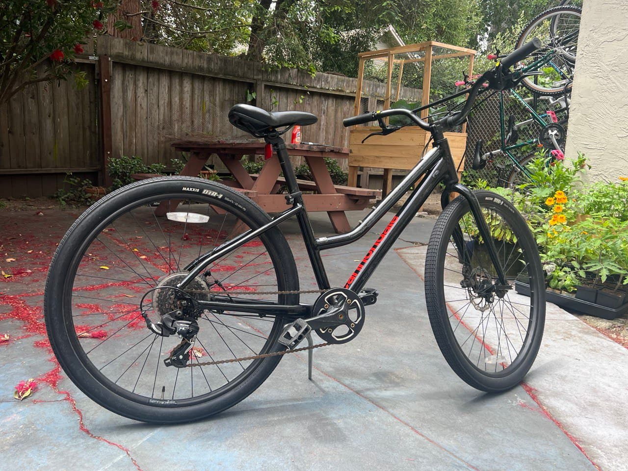 Treadwell best sale 3 bike