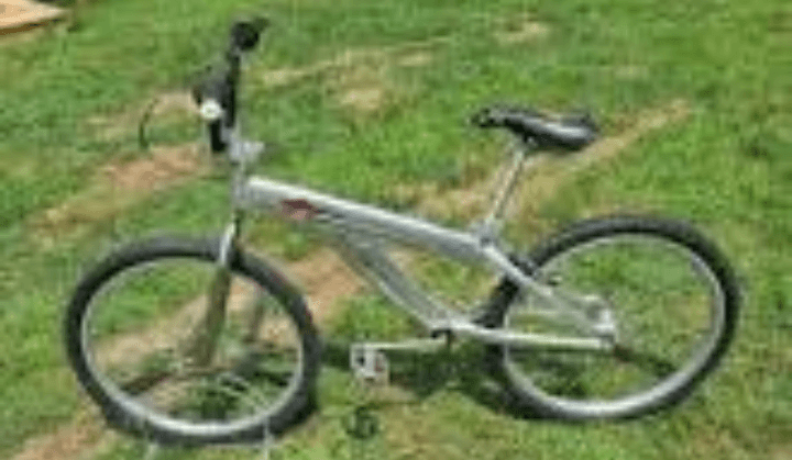 Specialized shop fatboy cruiser