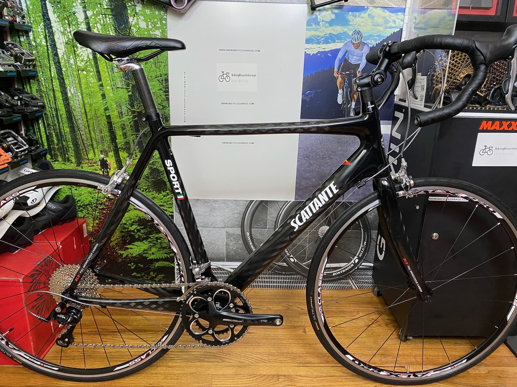 Scattante w570 women's road bike new arrivals