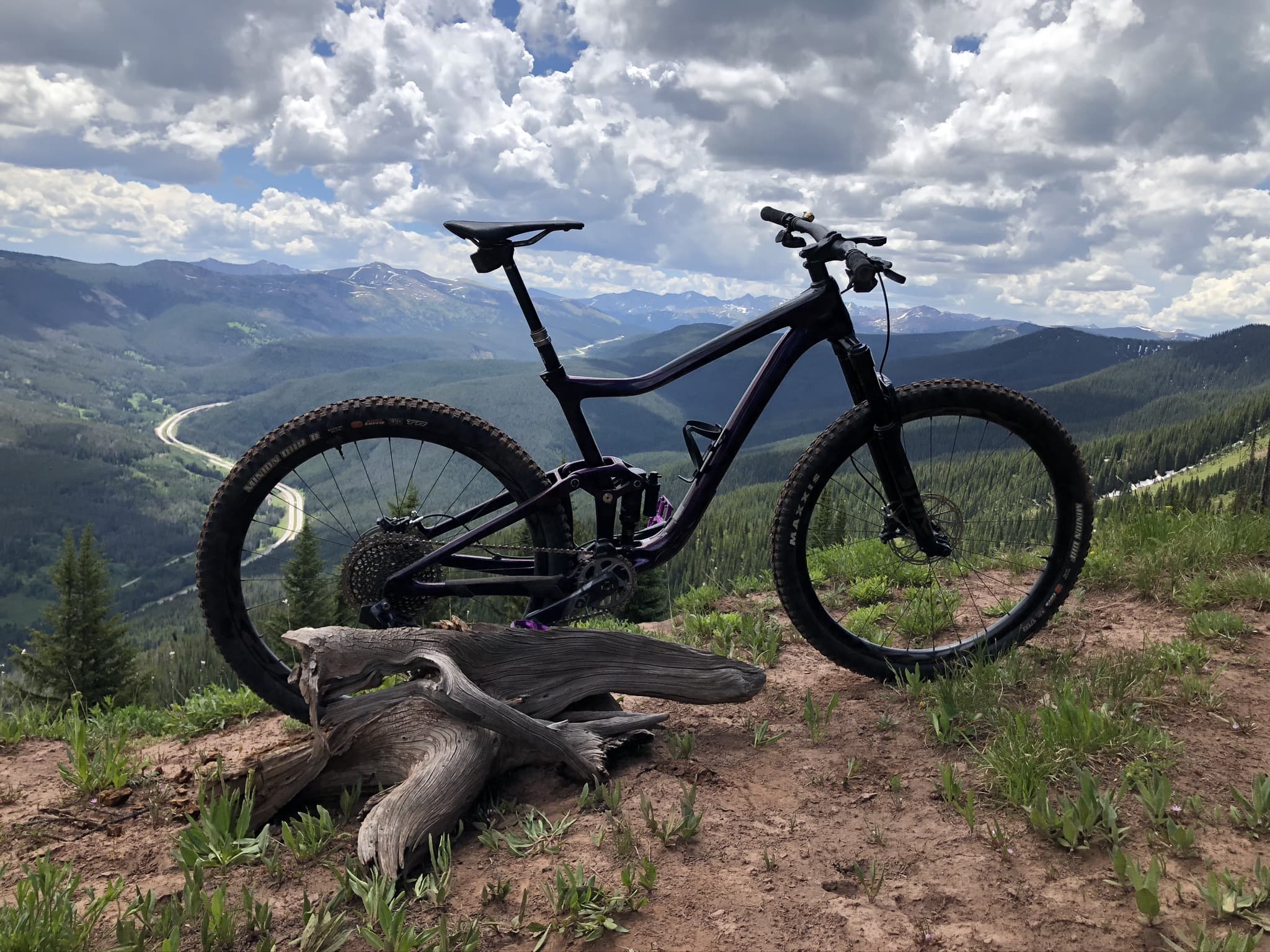 2020 Giant Trance Advanced Pro 29 0 BicycleBlueBook
