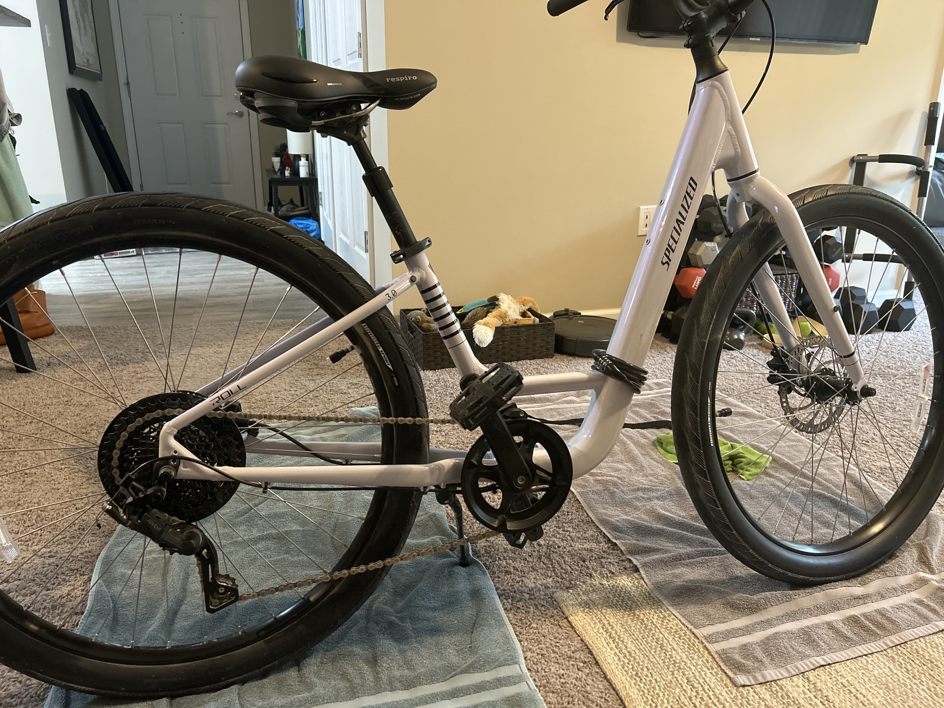 specialized roll low entry for sale