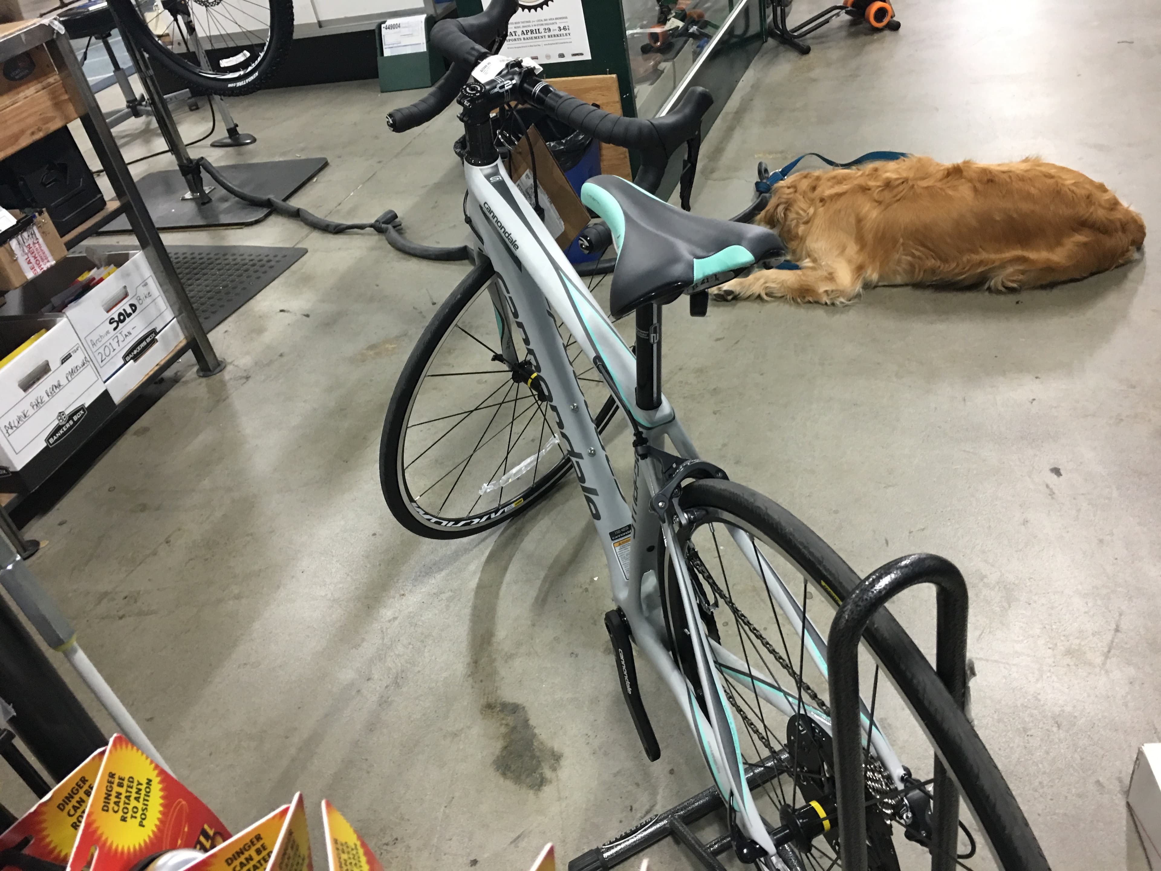 Cannondale synapse bicycle blue book 2025