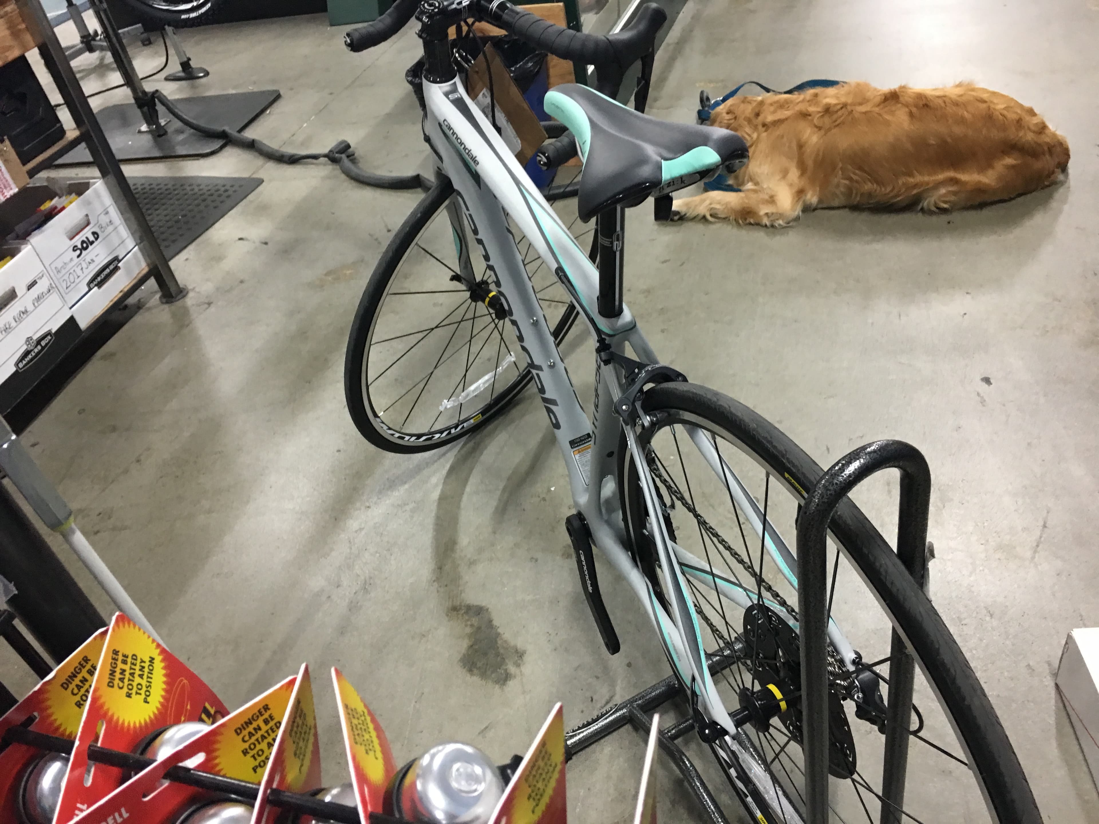 Cannondale synapse 2025 2016 blue book