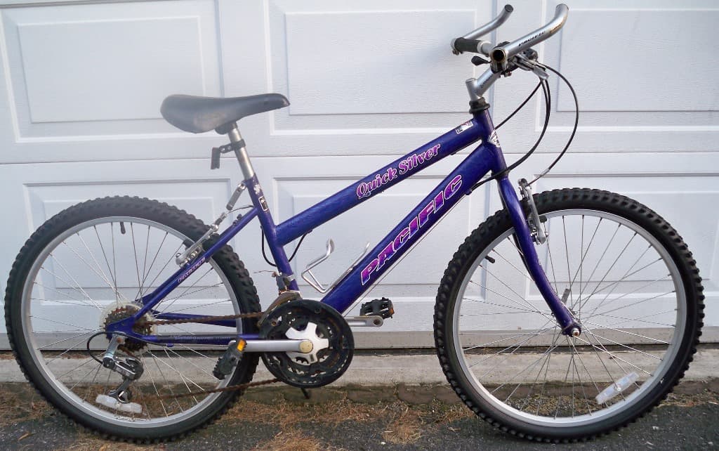 Pacific 24 2024 bike