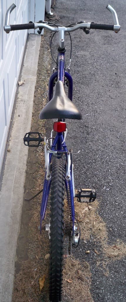 Pacific quicksilver deals bike 24