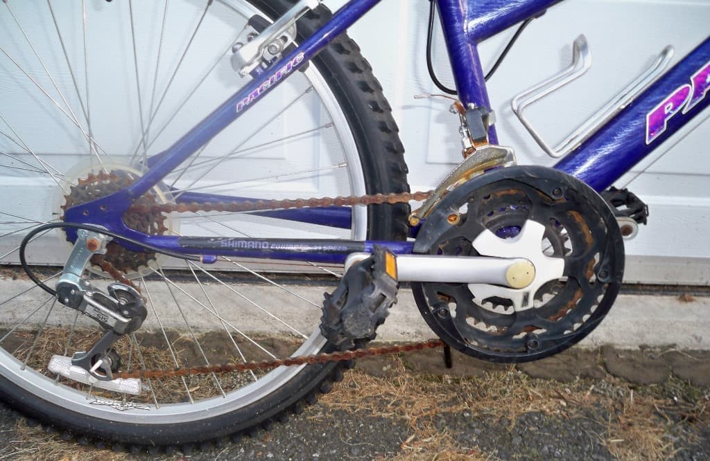 2011 Pacific Quick Silver BicycleBlueBook