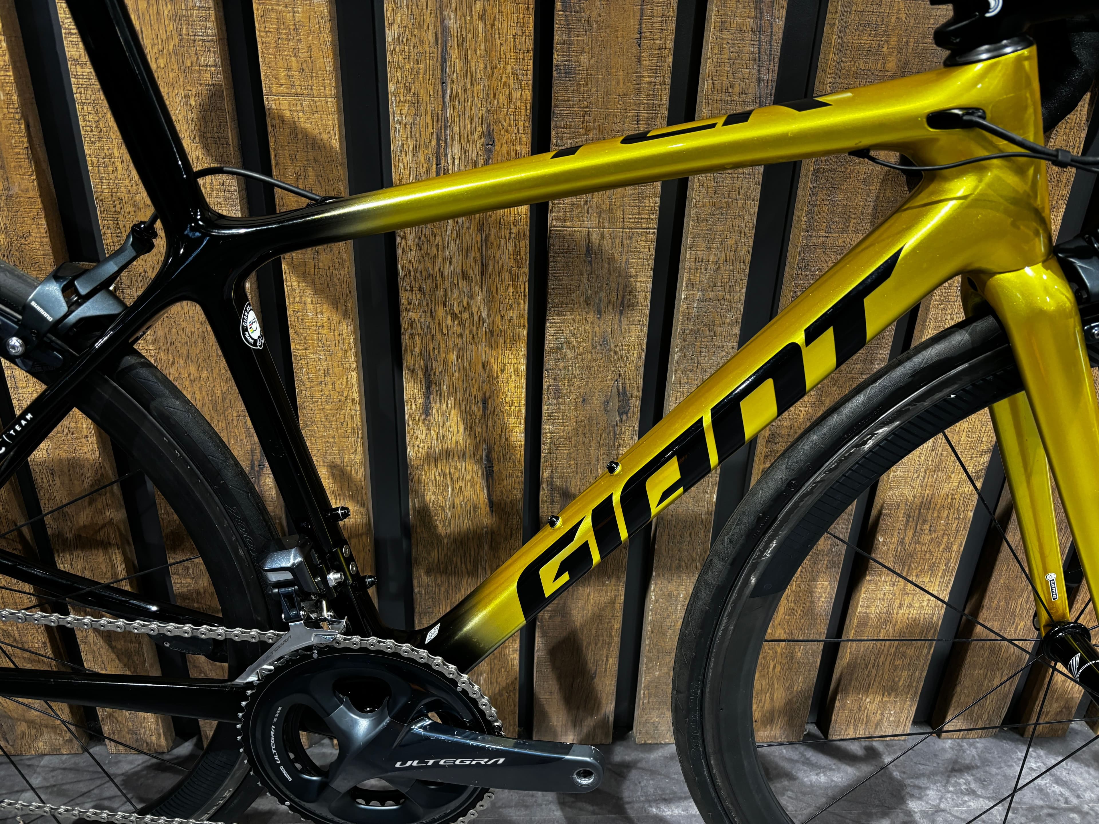 Giant hotsell tcr gold