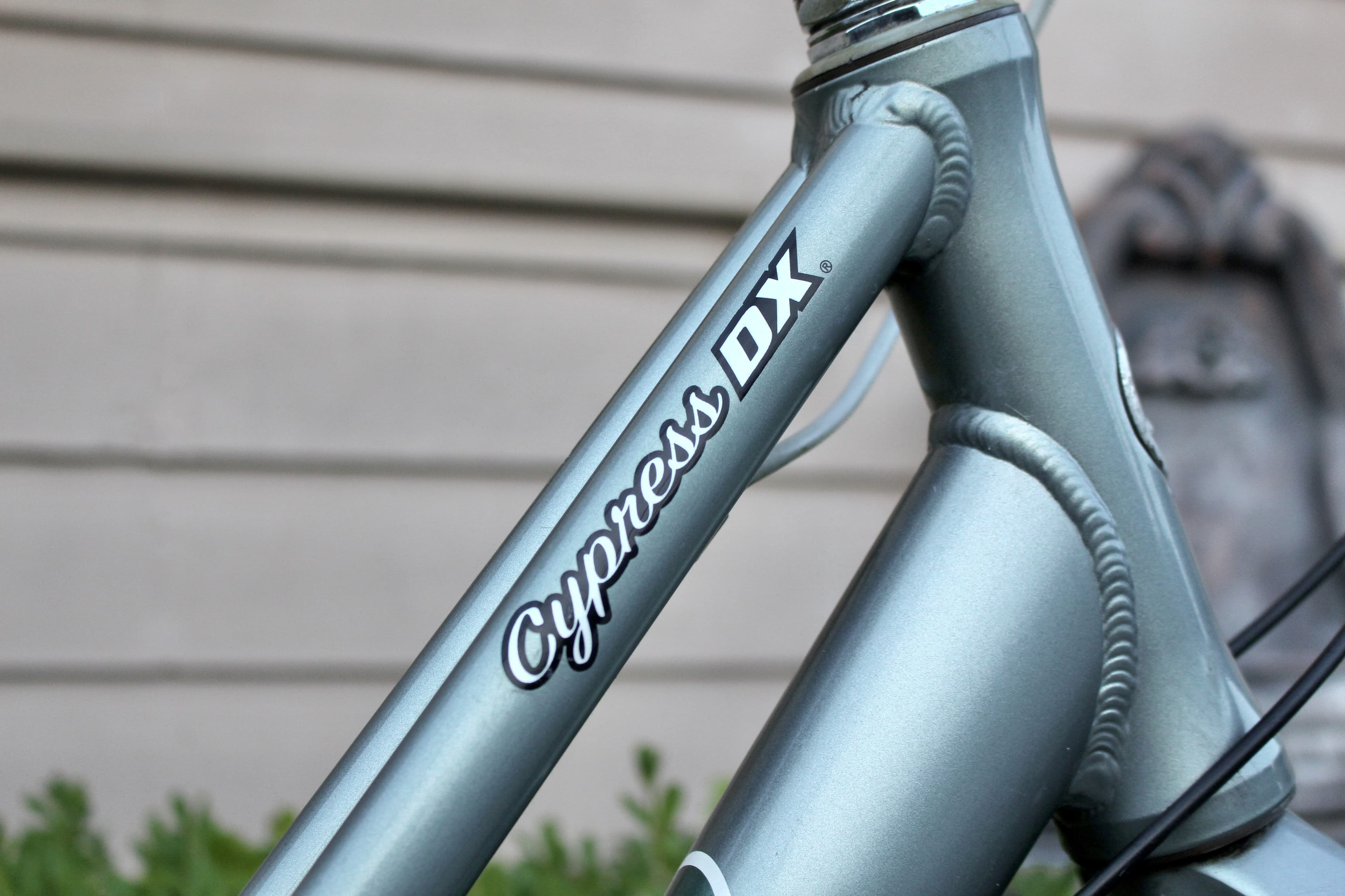 Giant cypress dx 2010 deals