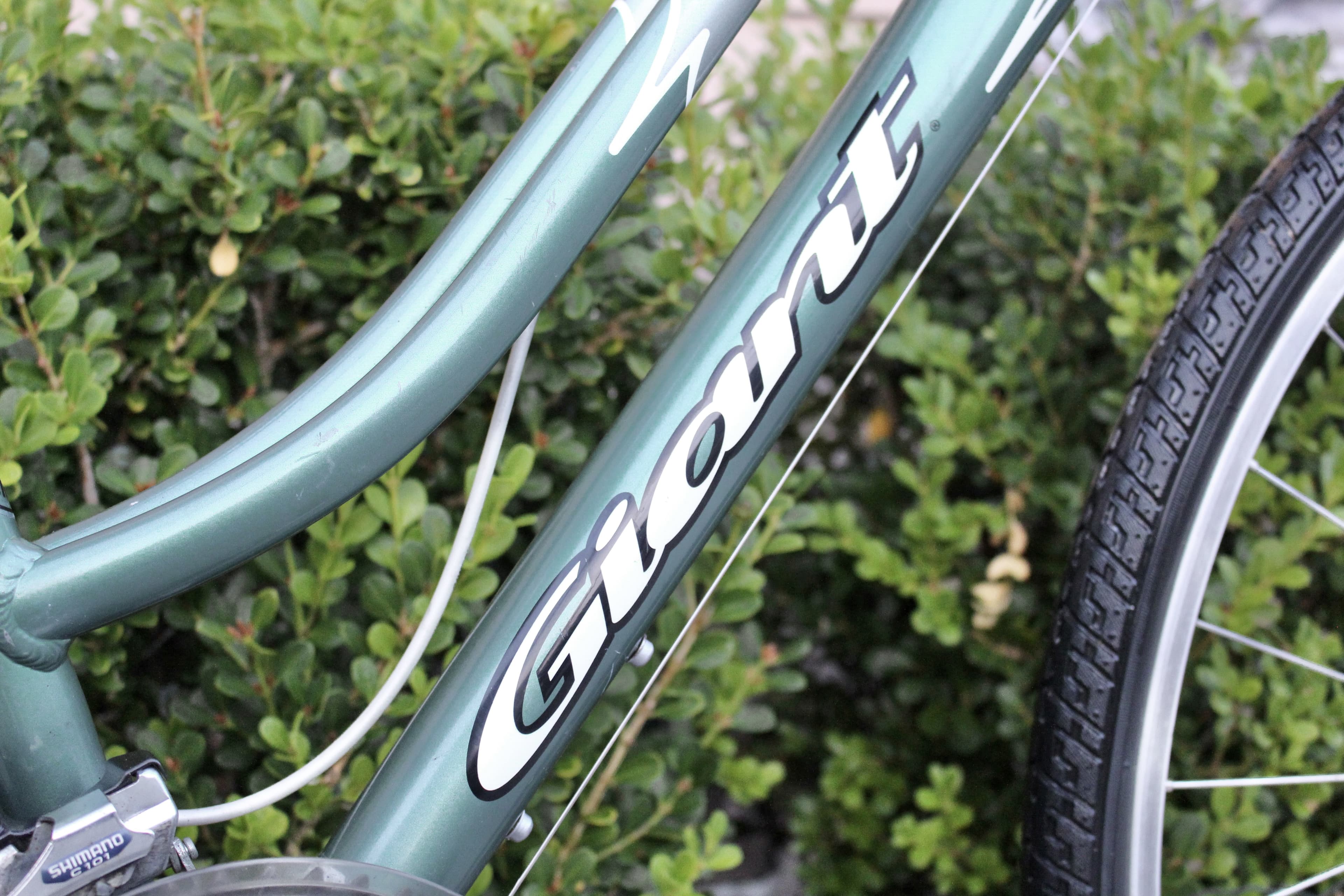 Giant cypress dx discount 2010