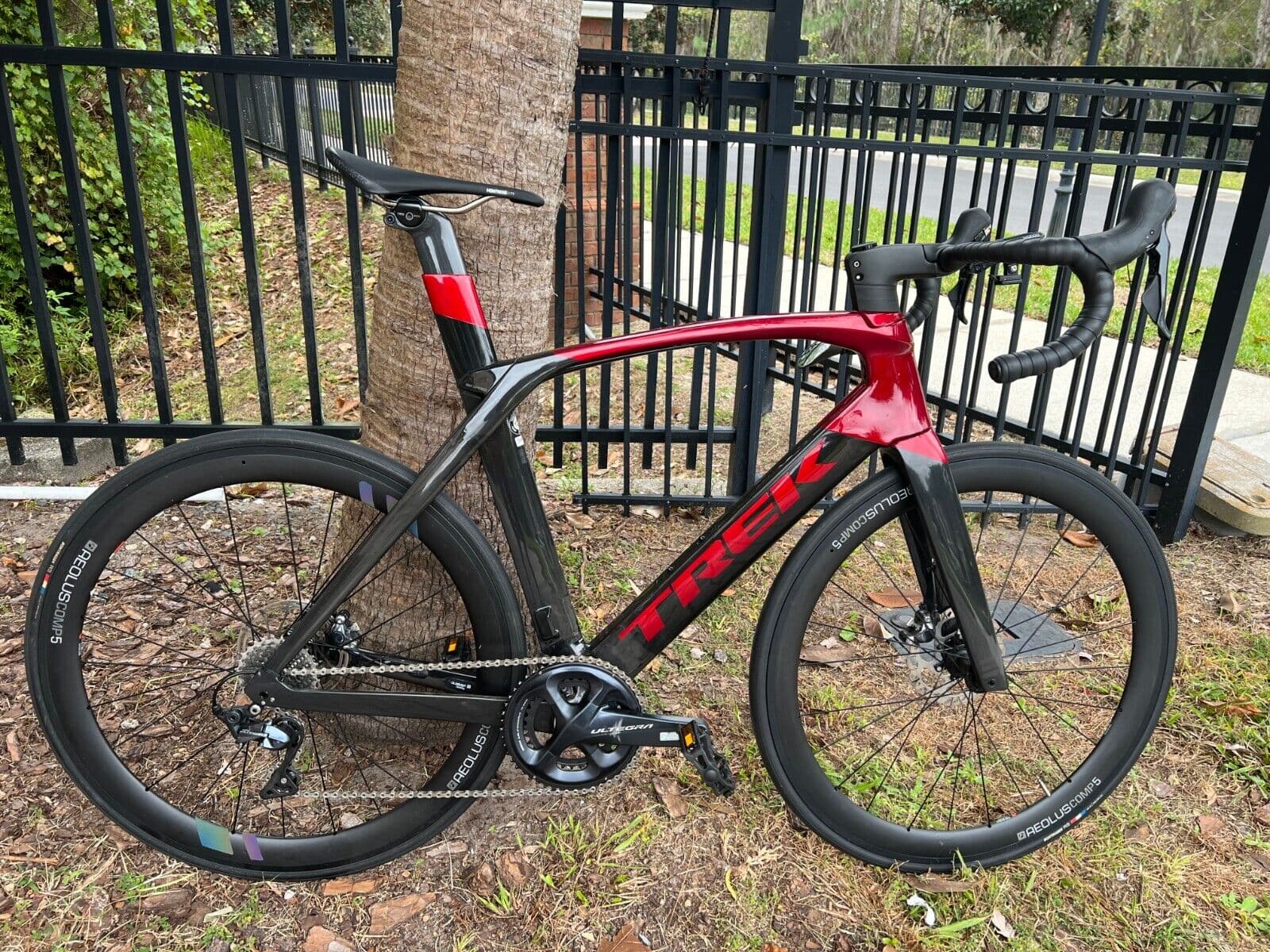 Trek madone discount slr 58