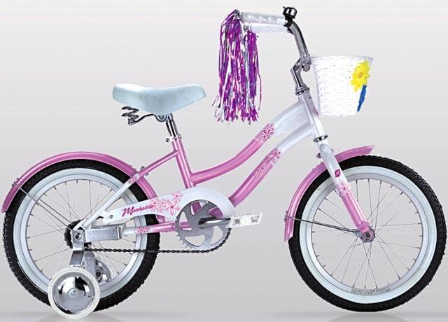 Bicycle Image