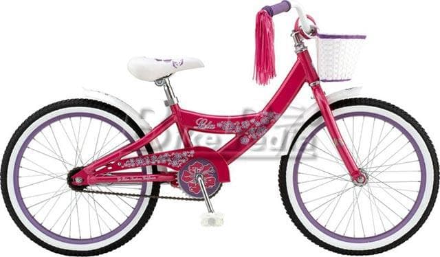 Bicycle Image