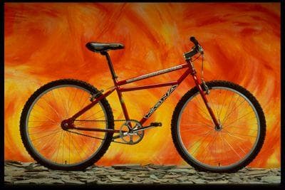 Bicycle Image