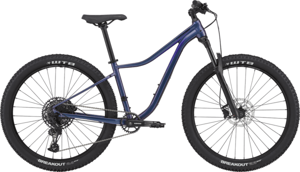 Bicycle Image