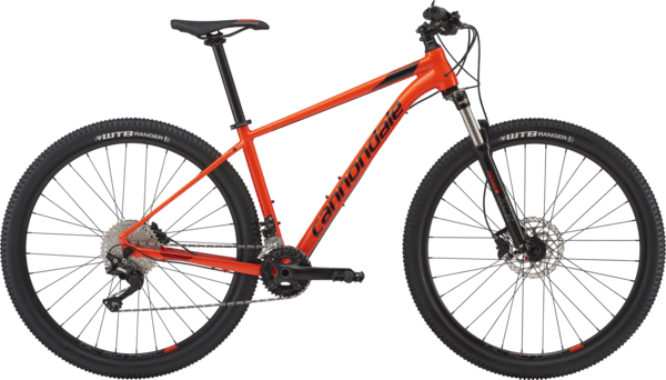 Bicycle Image
