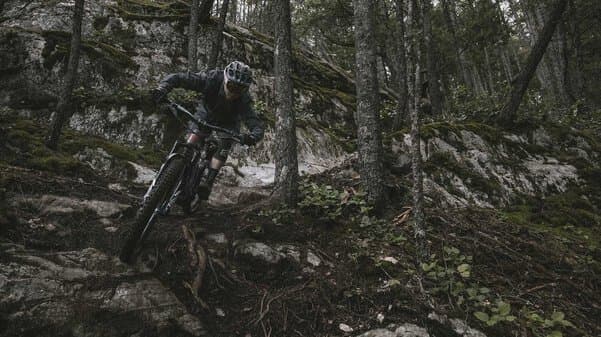 Bicycle Image