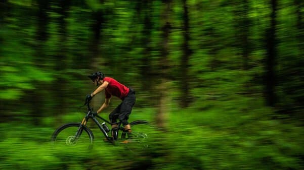 Bicycle Image