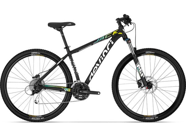 Bicycle Image