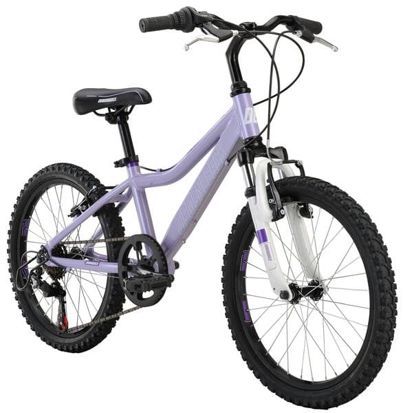 Bicycle Image