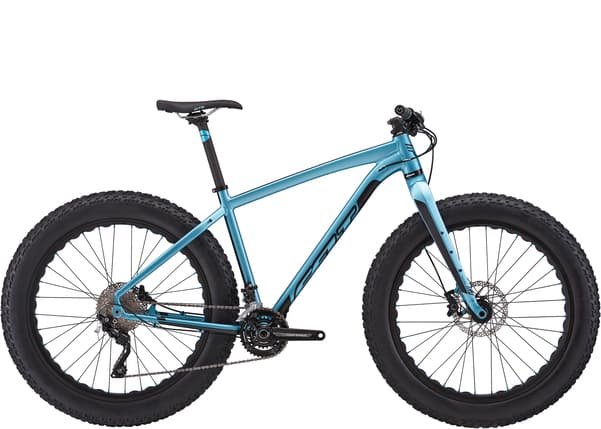 Bicycle Image